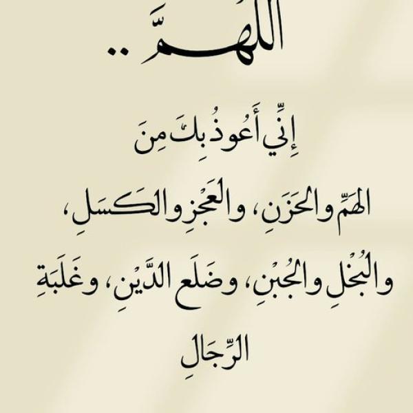 شاحن جوال اصلي