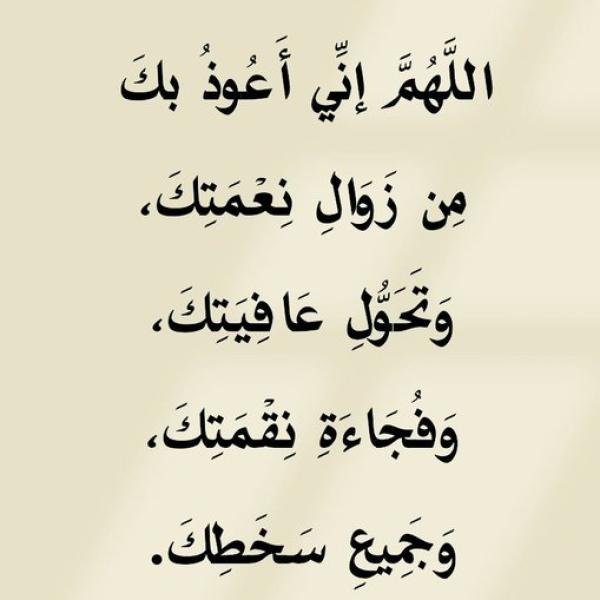 شاحن جوال اصلي