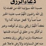شاحن جوال اصلي