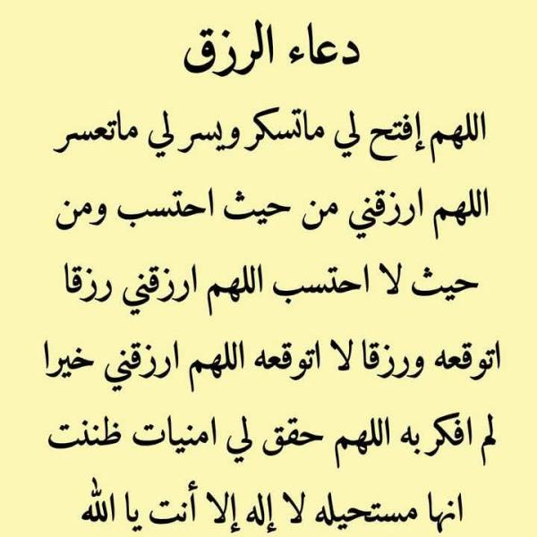 شاحن جوال اصلي